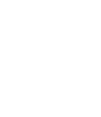 Icon eines beschädigten Hauses