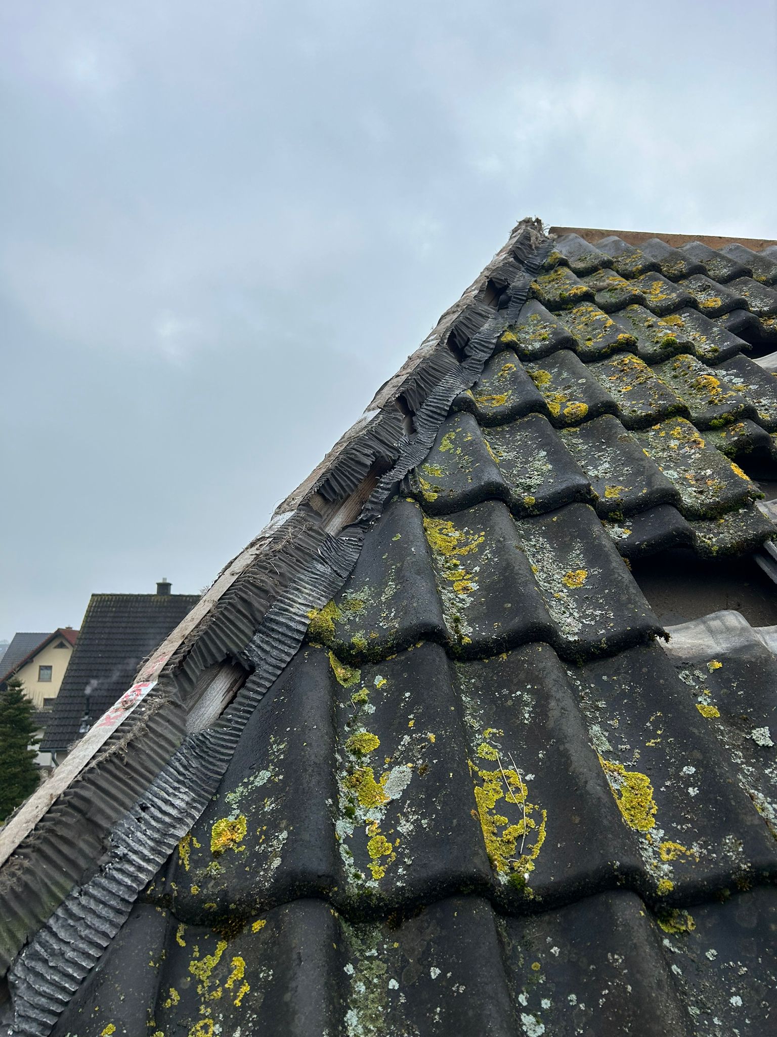 Notfalldachreperatur Rostock