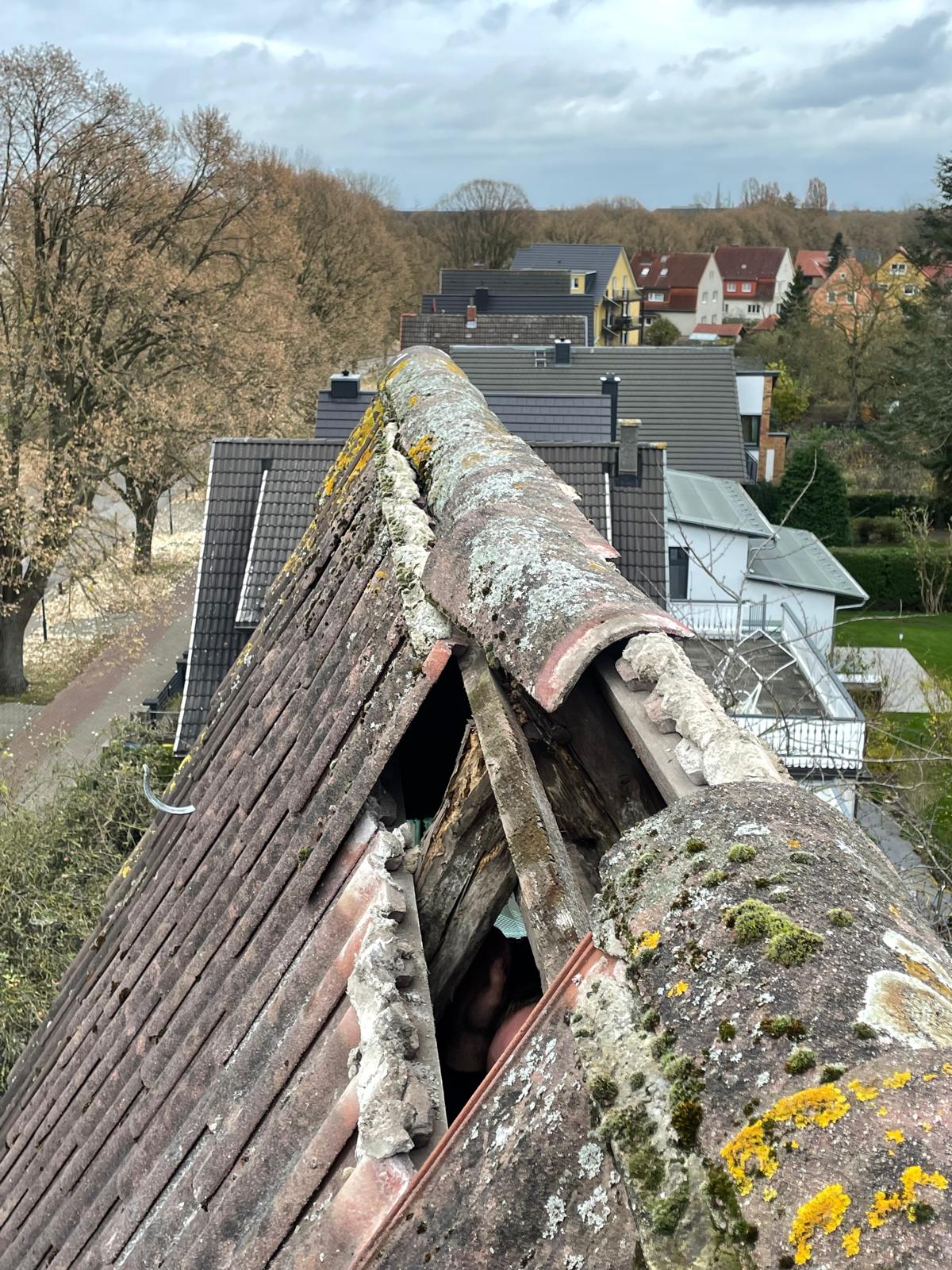 Mitarbeiter Dachdecker Rostock